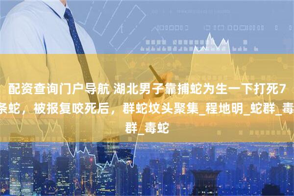 配资查询门户导航 湖北男子靠捕蛇为生一下打死73条蛇，被报复咬死后，群蛇坟头聚集_程地明_蛇群_毒蛇
