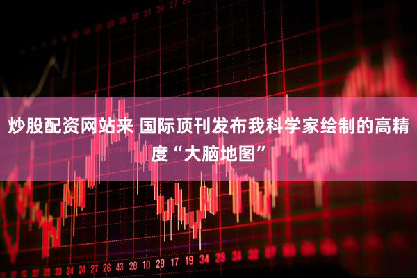 炒股配资网站来 国际顶刊发布我科学家绘制的高精度“大脑地图”