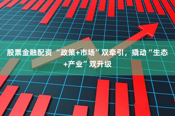 股票金融配资 “政策+市场”双牵引，撬动“生态+产业”双升级